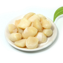 Attractive Price New Type Dried Scallop Meat Scallops Column